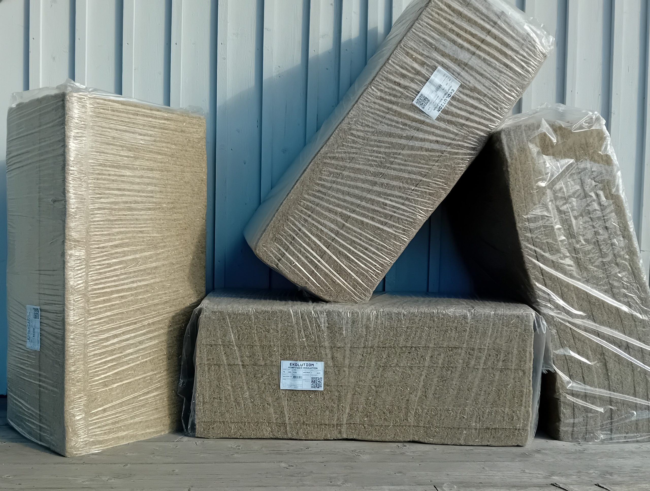 Hampaisolering ekolution svensk